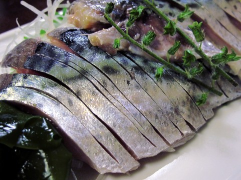 �ނ��ĕۑ������T�o�̃A�����W�����@���낢�����Ɨ�